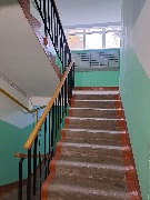 мш 175 2024г..jpg